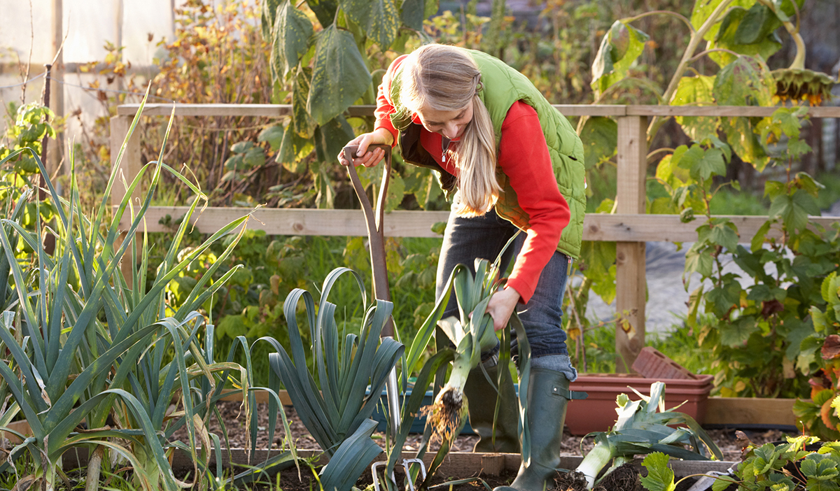 A woman gardening